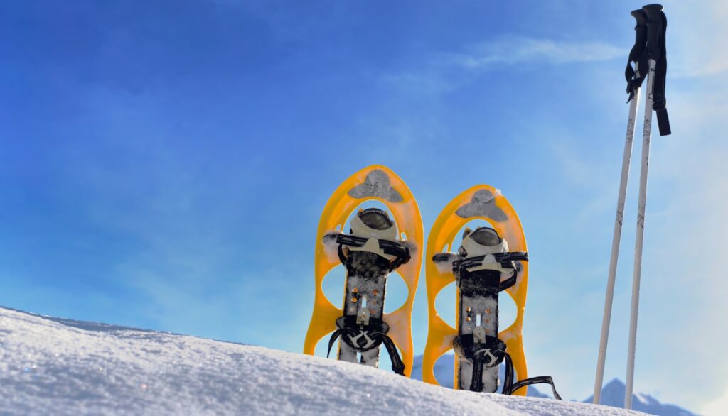 Snowshoe Deals